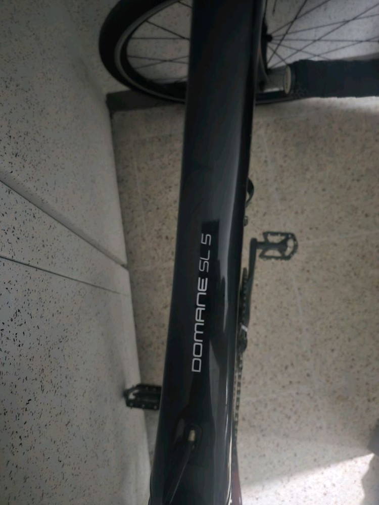 트렉 도마니 sl5 로드자전거 이미지