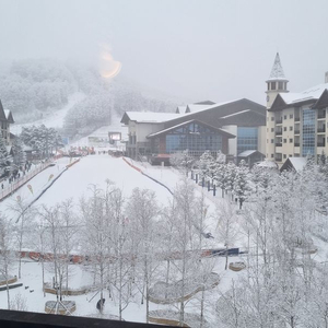 스키시즌 1월 2월 하이원리조트 마운틴콘도 힐콘도 메인타워 컨벤션 타워 스키장비렌탈 있습니다