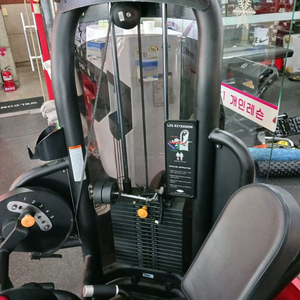 매트릭스 레그익스텐션