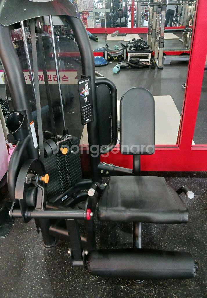 매트릭스 레그익스텐션--1