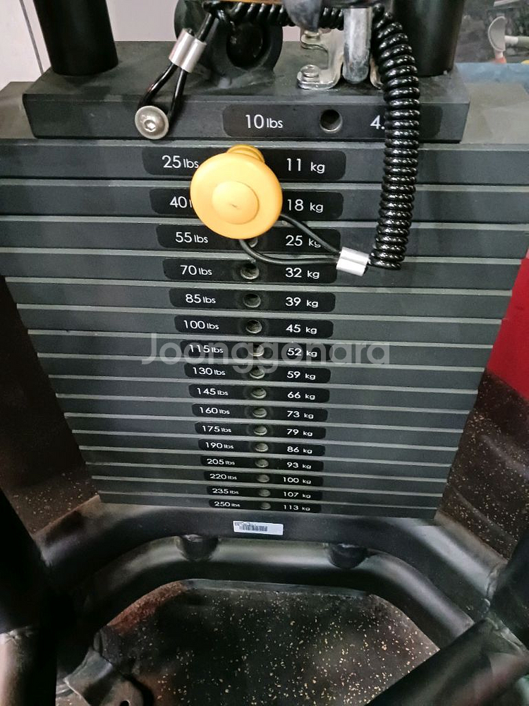 매트릭스 레그익스텐션--2