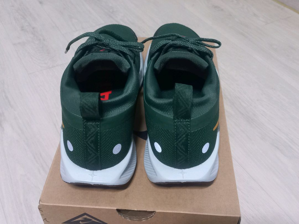 나이키 페가수스 5GTX 고어텍스 트레일 런닝화--3