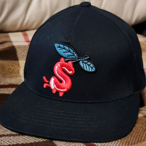 BBC icecream 스냅백 새제품