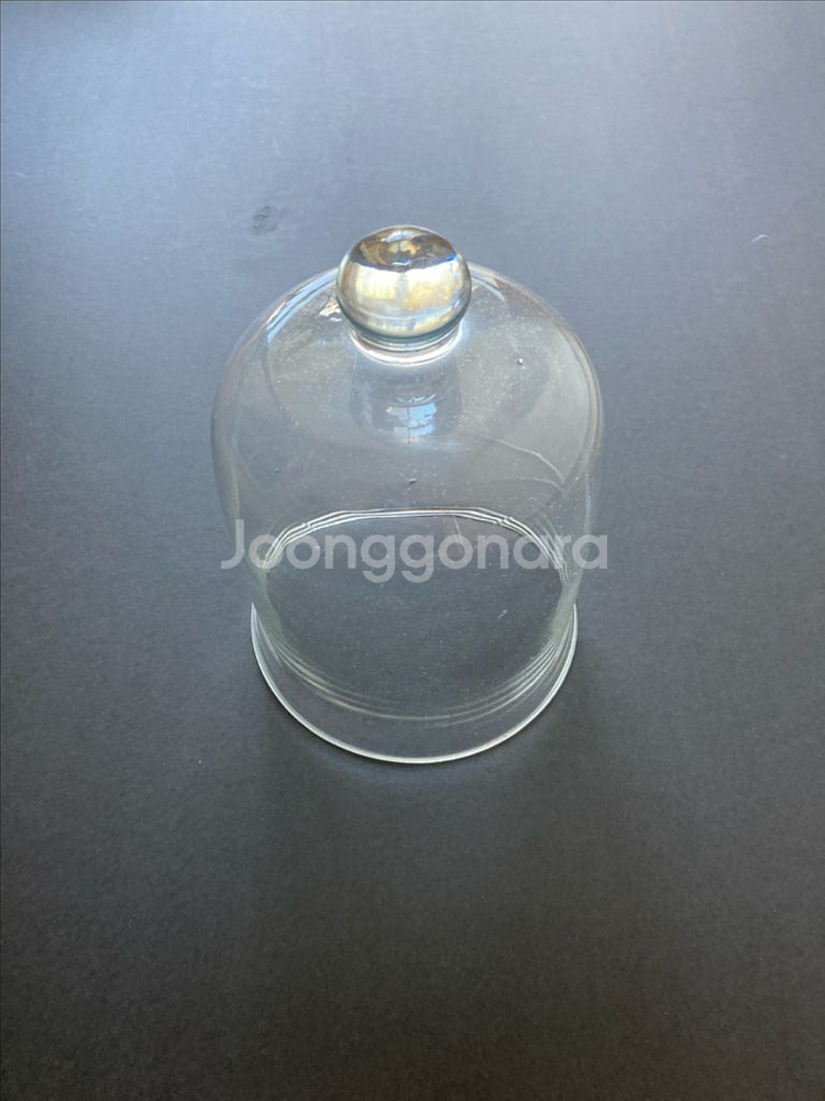 글래스 돔 유리 돔 캔들 커버 덮개 플랜테리어--3