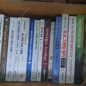 (스프링 제본)프로그래머의 뇌