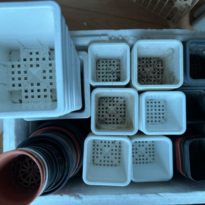 플분 플라스틱화분 모종화분 새거도 있어오 이미지