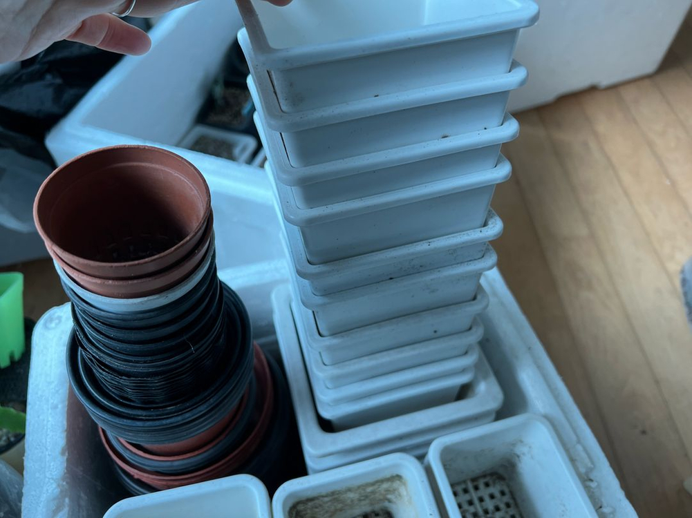 플분 플라스틱화분 모종화분 새거도 있어오 이미지