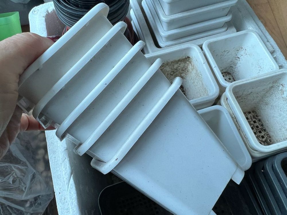 플분 플라스틱화분 모종화분 새거도 있어오 이미지