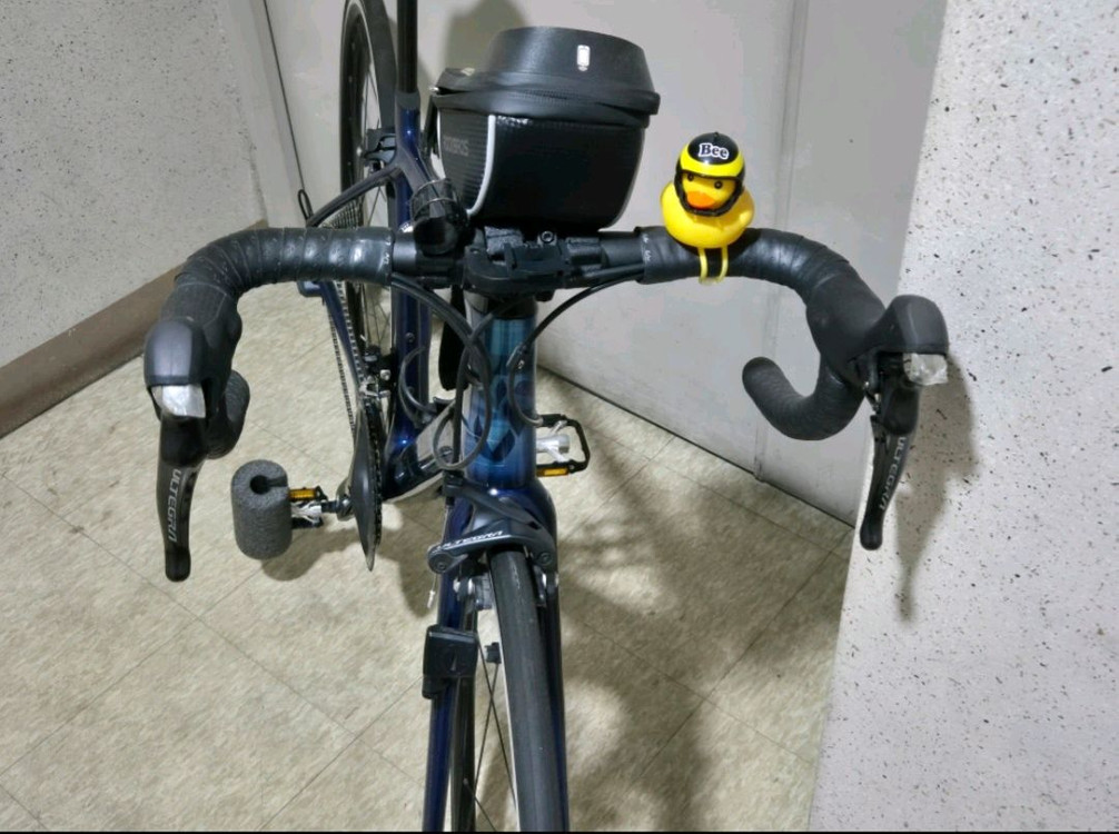 자이언트 리브랑마 로드 이미지