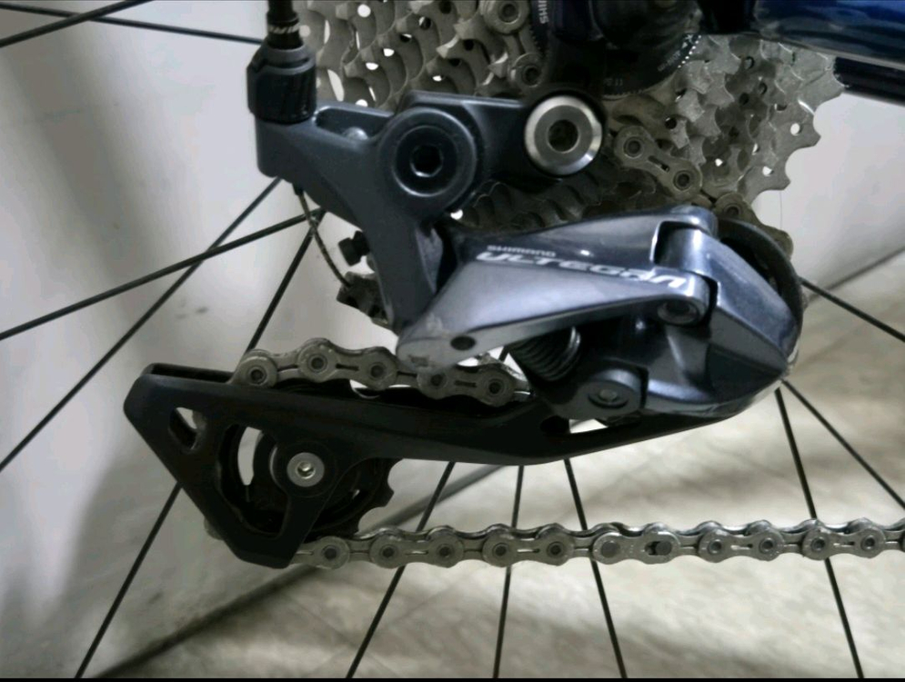 자이언트 리브랑마 로드 이미지