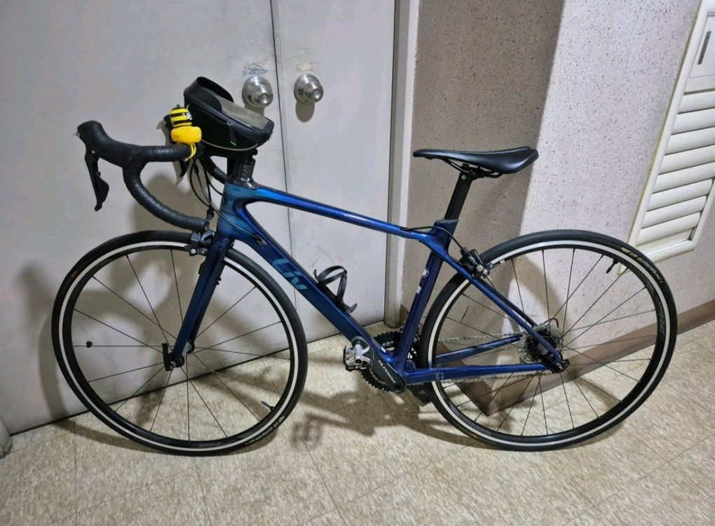 자이언트 리브랑마 로드 이미지