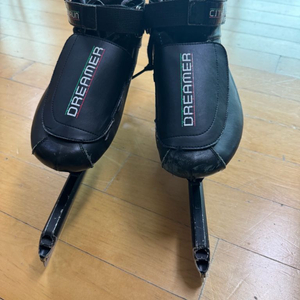 시티런 스케이트화 3세대 250