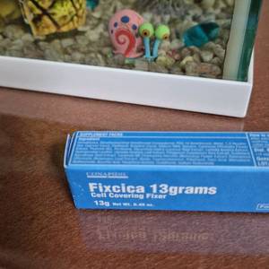 코니피딜 픽시카겔 이미지