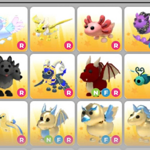 입양하세요 펫 이미지