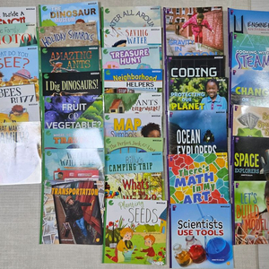 한솔 디킨즈 영어 원서