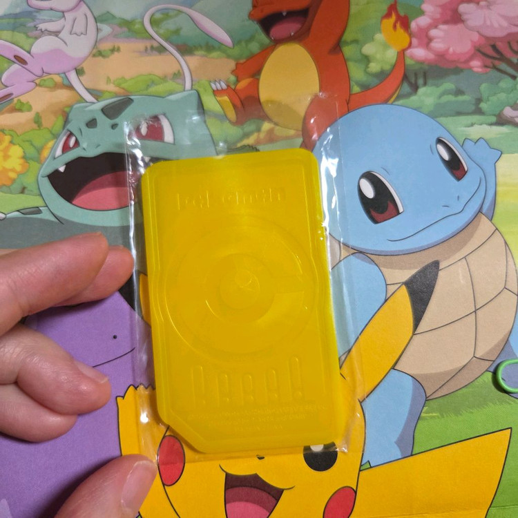 포켓몬스터 가오레 알로라 라이츄 스페셜 게임 칩 이미지