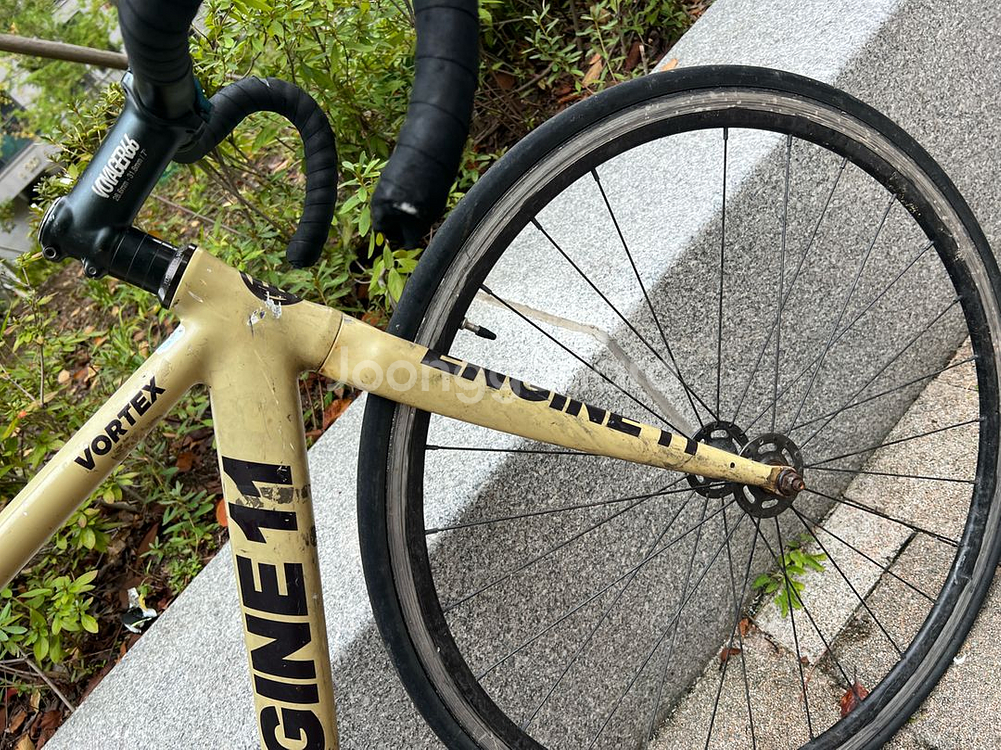 엔진11볼텍스2021 개급처--3