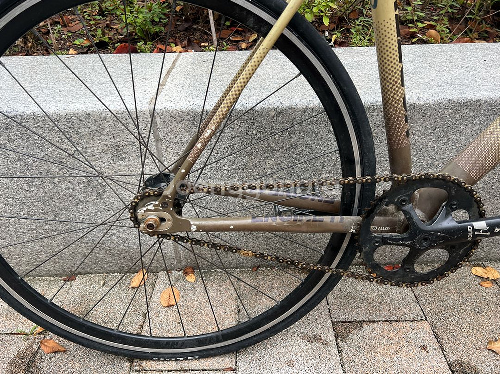 엔진11볼텍스2021 개급처--4