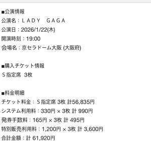 레이디가가 오사카 콘서트 1/22 s석 2장 싸게 양도해요