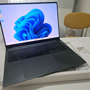 삼성 갤럭시북3 16인치 !5-13세대/램16/SSD256