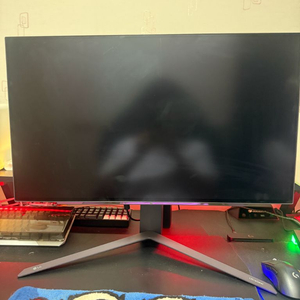 LG 27gr95qe OLED 240HZ모니터