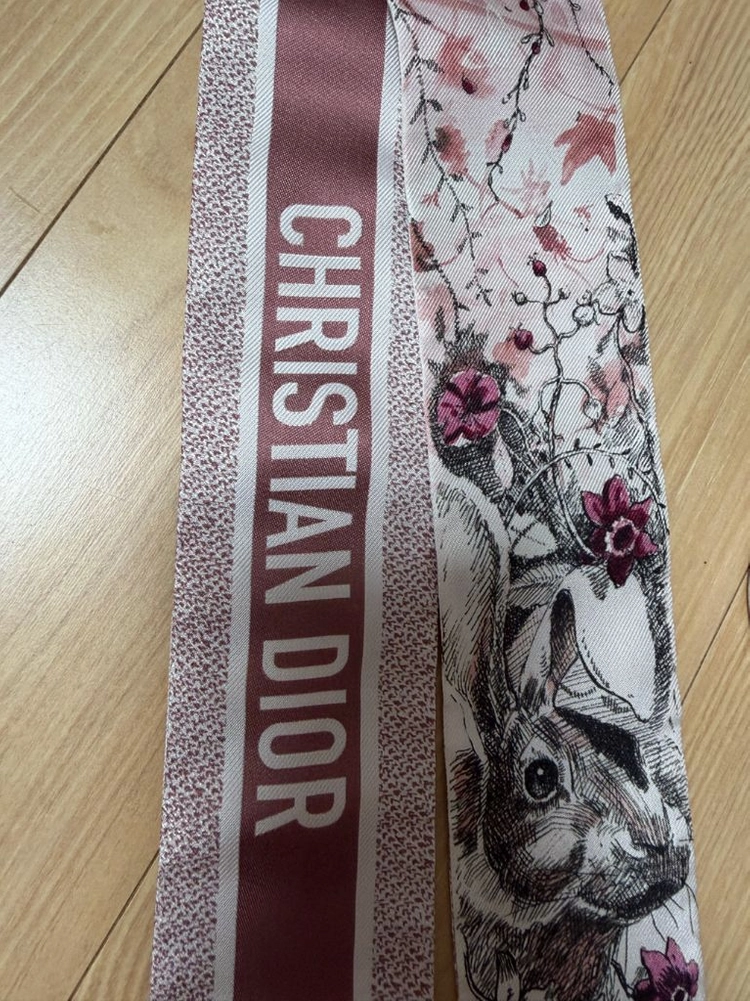 디올 미챠 이미지