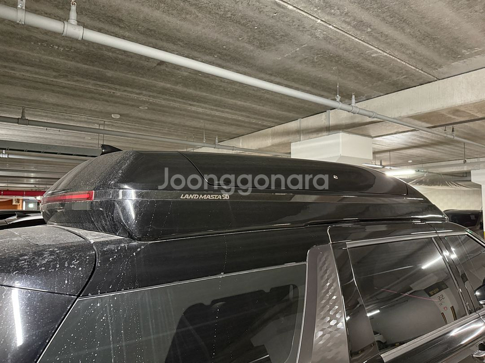 랜드마스터SD 카니발 루프박스 판매(랜드마스타SD)--1