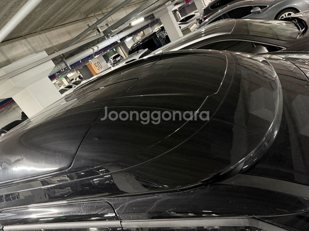 랜드마스터SD 카니발 루프박스 판매(랜드마스타SD)--3