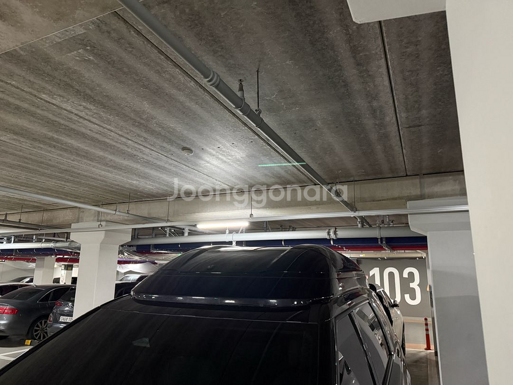 랜드마스터SD 카니발 루프박스 판매(랜드마스타SD)--4