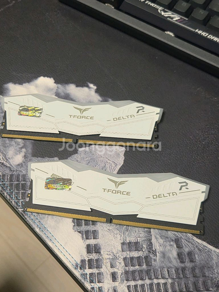 teamgroub DDR5 6000MHz 32GB 메모리--2