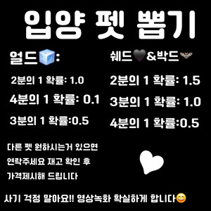 입양하세요 펫 뽑기 얼드,박드,쉐드 이미지