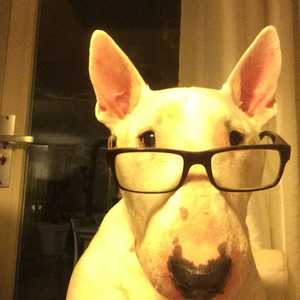 알로항 머니100:1.9(1.8)