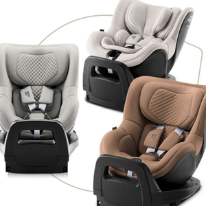 브라이텍스 프로 럭스 카시트 구매합니다!