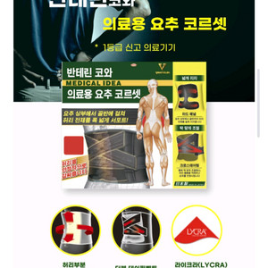 반테린 코와의료용 요추 코르셋 테이핑 허리 보호대 XXL 판매합니다.
