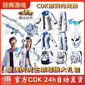 배그 스킨 싱훈 xinghun 메가번들 이미지