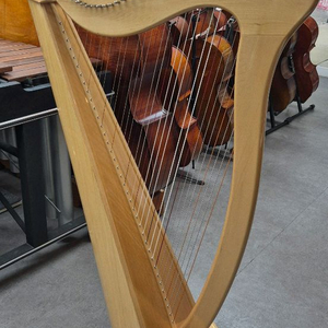 레버하프/켈틱하프 알톤37현