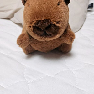 거북이 가방 맨 카피바라 인형 키링 새상품