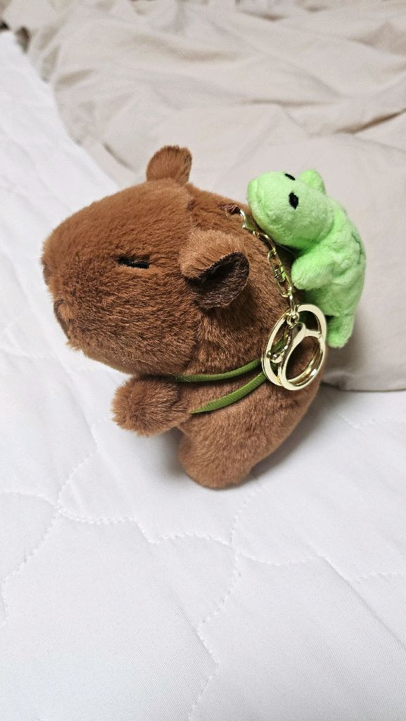 거북이 가방 맨 카피바라 인형 키링 새상품--1