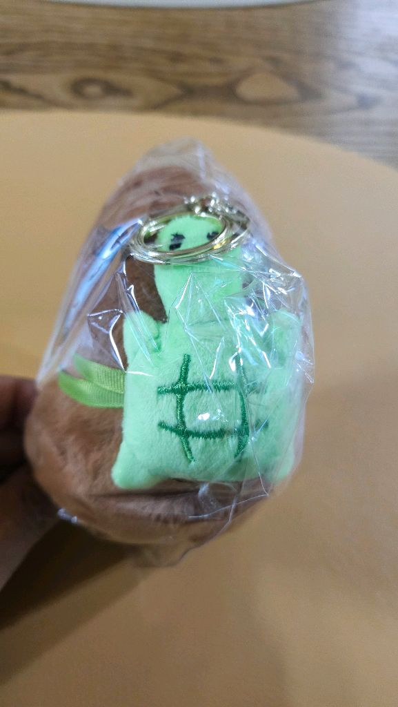 거북이 가방 맨 카피바라 인형 키링 새상품--4