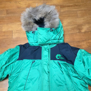 네파 에볼루션 800 대장급 패딩 우모복