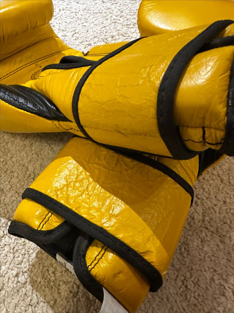 레예스 14온즈 글러브--1