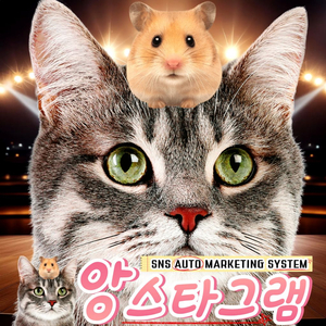 최저가 인스타 팔로워 좋아요 조회수 판매 / 유튜브 틱톡도 가능! 이미지