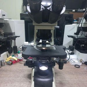 BM2000 쌍안LED생물현미경 싸게판매합니다 이미지