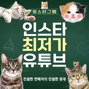 최저가 인스타 팔로워 좋아요 조회수 판매 / 유튜브 틱톡도 가능! 이미지