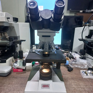 A급 벨기에 CETI 쌍안생물현미경 싸게판매합니다 이미지