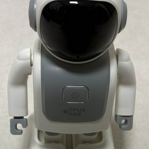 댄싱로봇 씽고(XINGO)