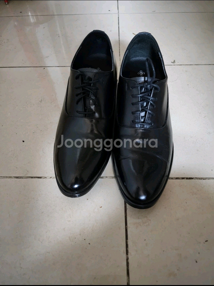남성 키높이 구두 255--1