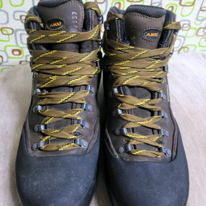 이태리 아쿠 타이가누벅 265