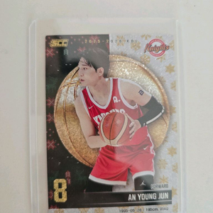 25-26 KBL 홀로패러렐 카드 SK 안영준