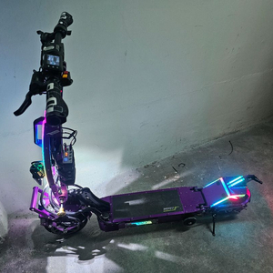 위페드 폴드 듀얼 킥보드